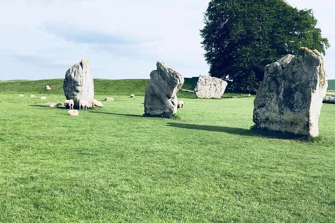 Standing stones of the Avebury circle with sheep grazing between them