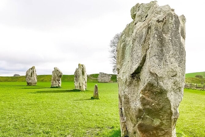 Close view of lichen covering the surface of an Avebury sarsen