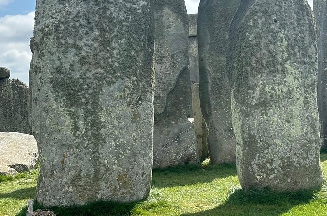 Lichen and weathering on the sarsen stones at Avebury